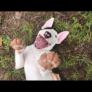 Meet your Posher, Abelle